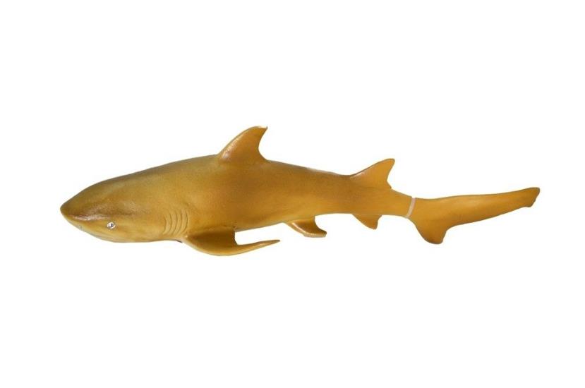Deniz Hayvanları Serisi - E022-SarıKöpekbalığı (Lisinya)