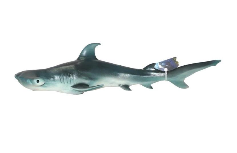 Deniz Hayvanları Serisi - E022-ÇekiçbaşlıKöpekbalığı (Lisinya)