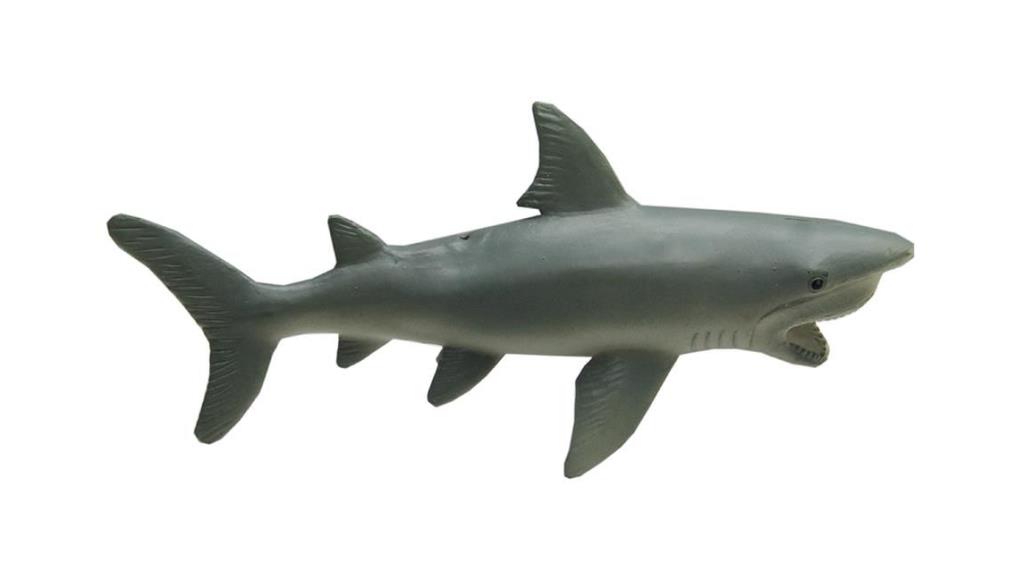 Deniz Hayvanları Serisi - HY4689-Griköpekbalığı (Lisinya)