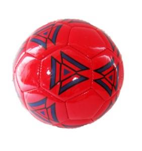 Hentbol Topu (Lisinya)